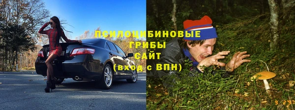 apvp Долгопрудный